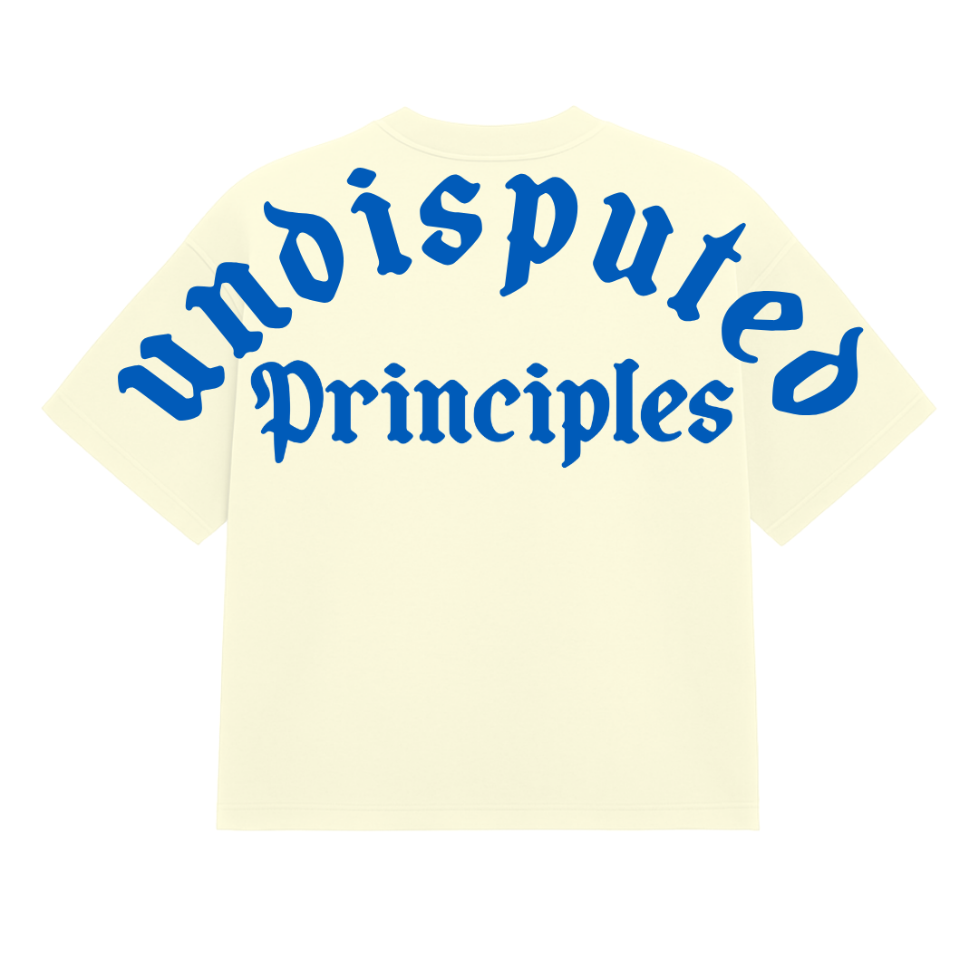Undisputed Principles - Plane Heavy Tee