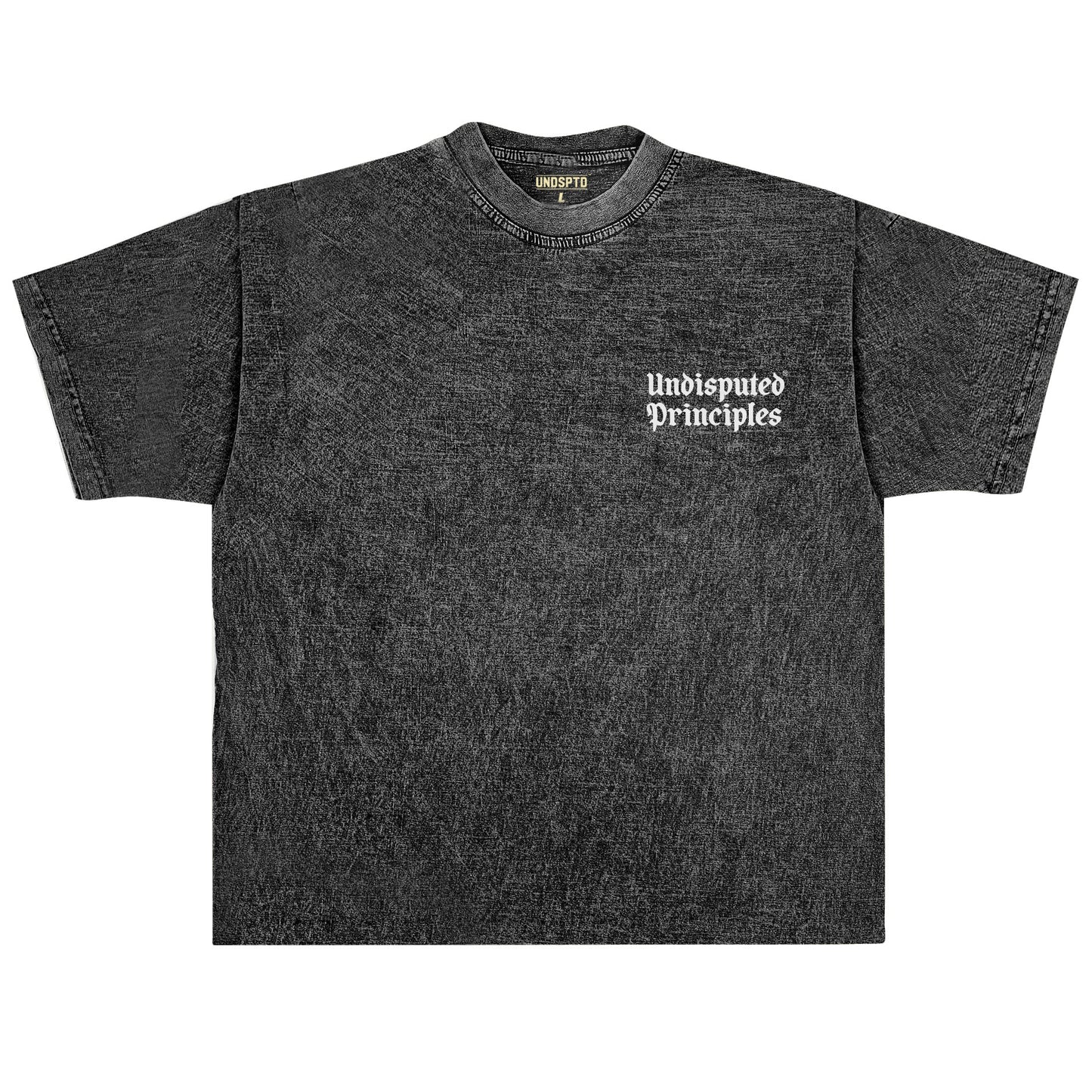 undisputed principes logo tee in oversize vintage acid wash short sleeve t-shirt