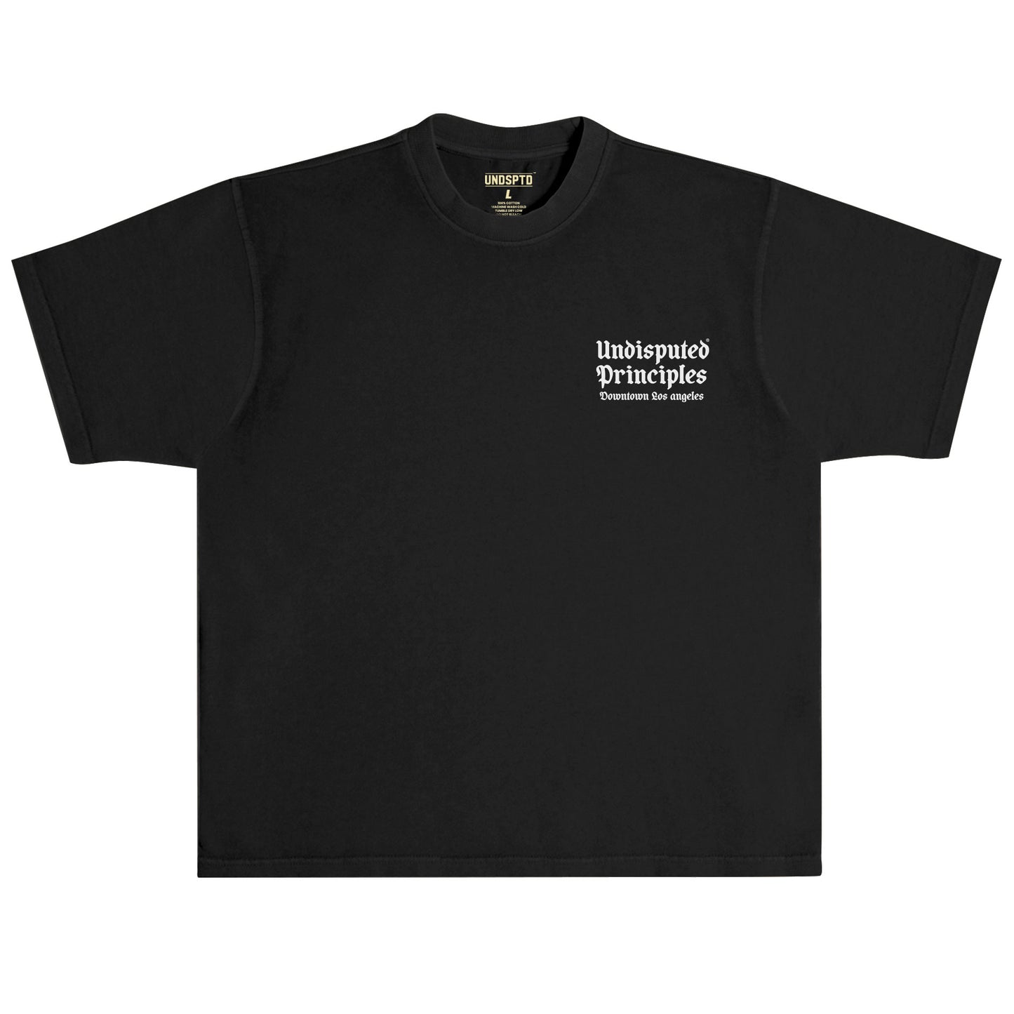 undisputed principles logo oversized heavyweight t-shirt in black front