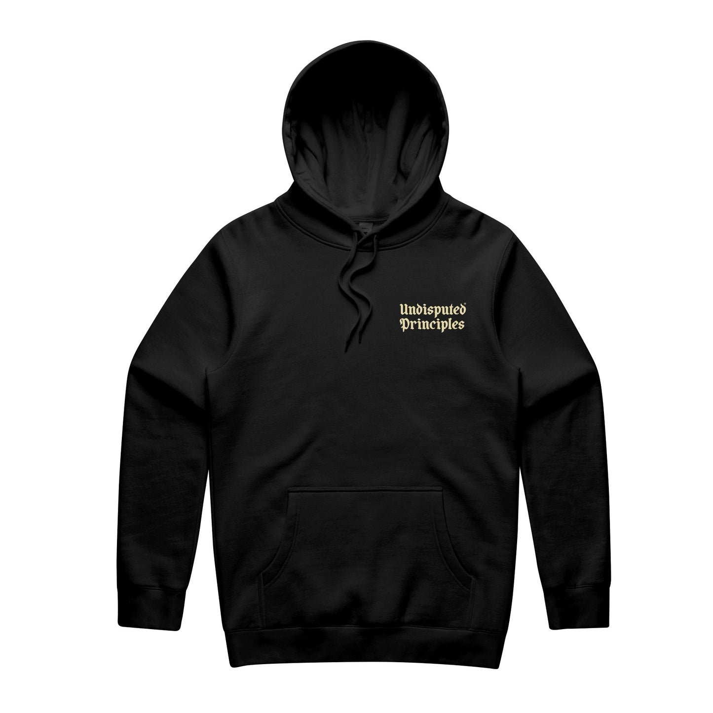 No One Is Coming Oversized Heavyweight Hooded Sweatshirt