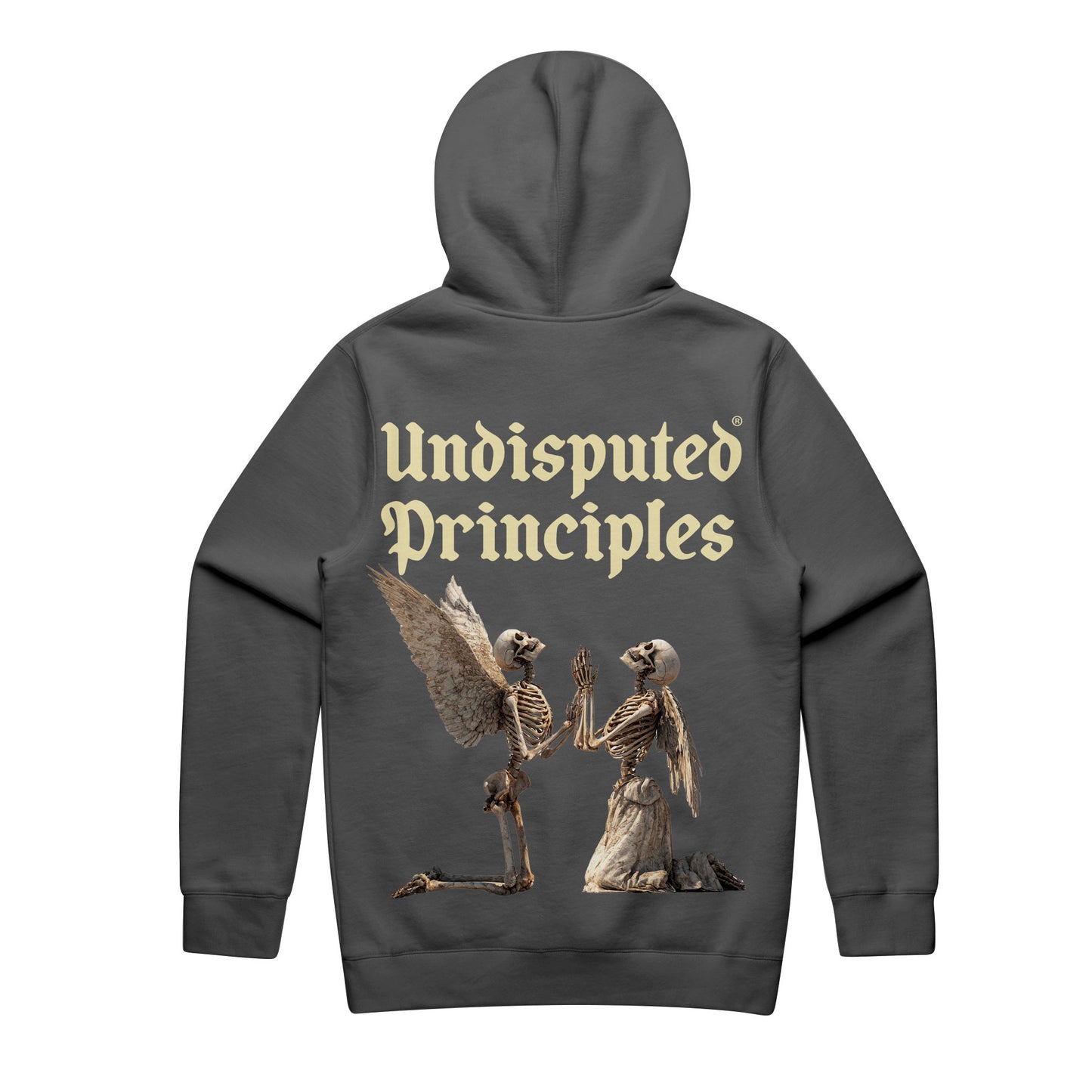 No One Is Coming Oversized Heavyweight Hooded Sweatshirt