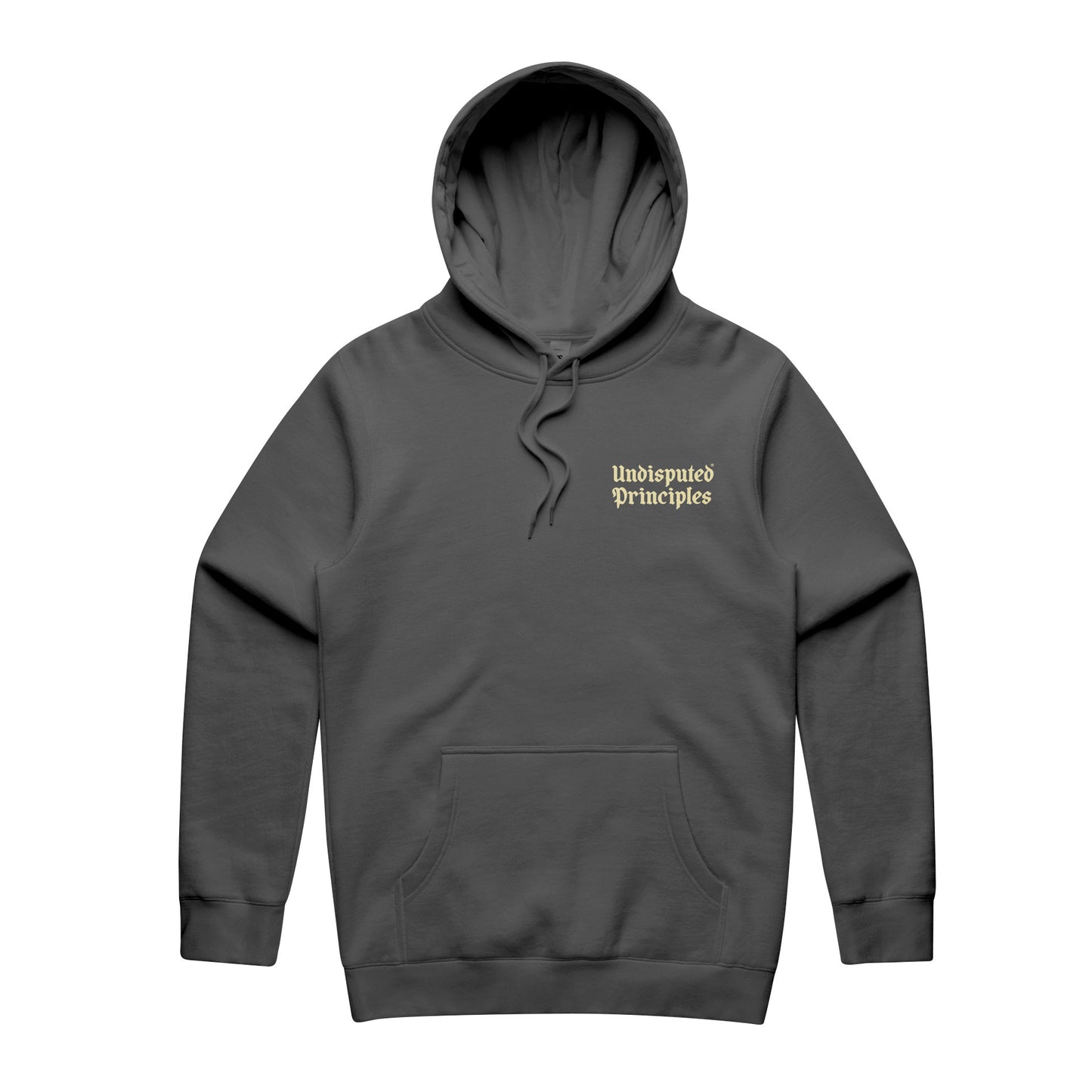 No One Is Coming Oversized Heavyweight Hooded Sweatshirt