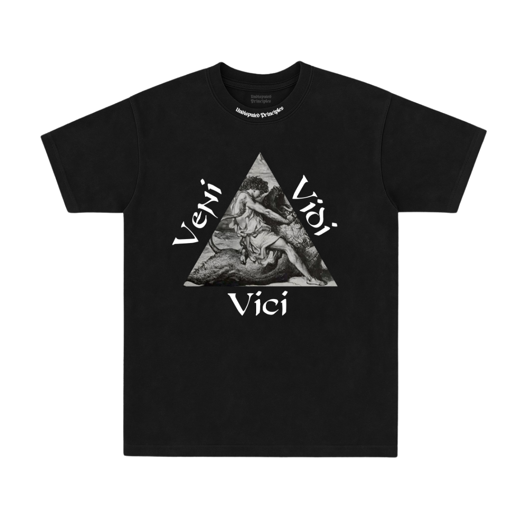 Undisputed Principles -Vedi Tee