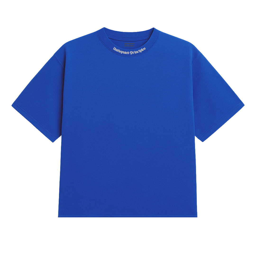 Undisputed Principles -  Heavy Tee