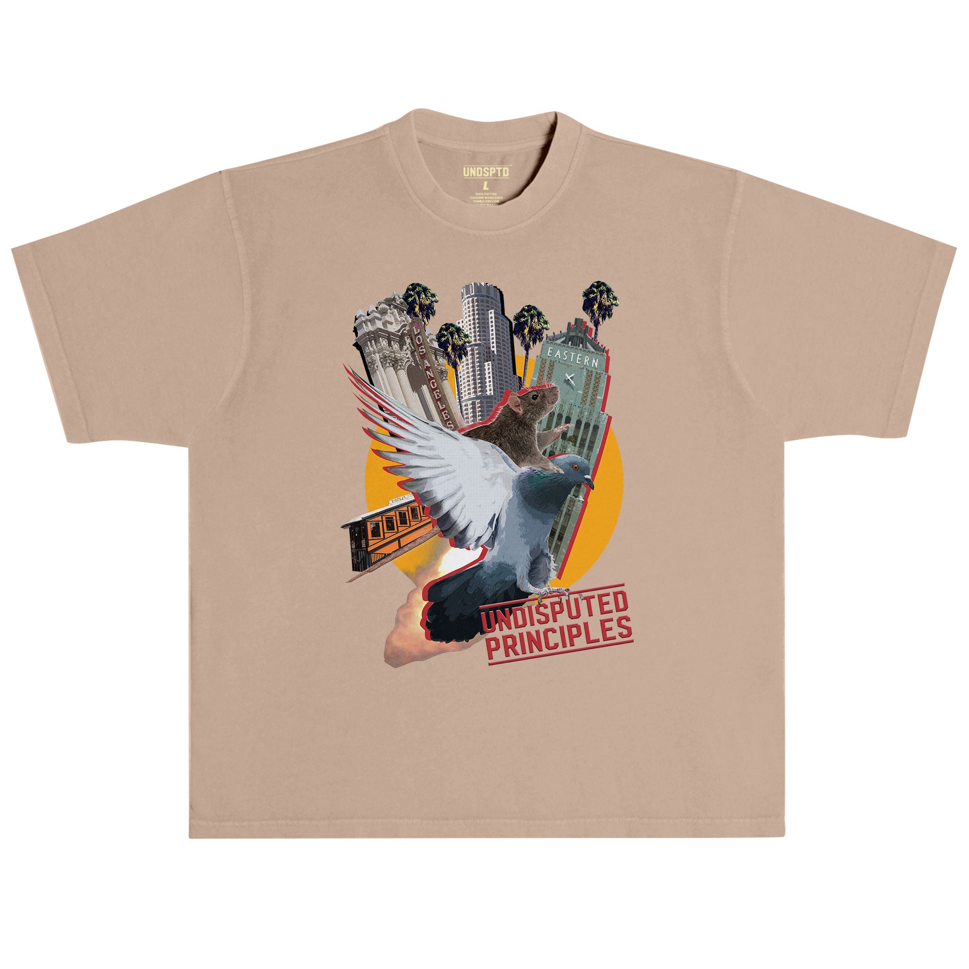 dtla raw souvenir tshirt in salmon by undisputed principles