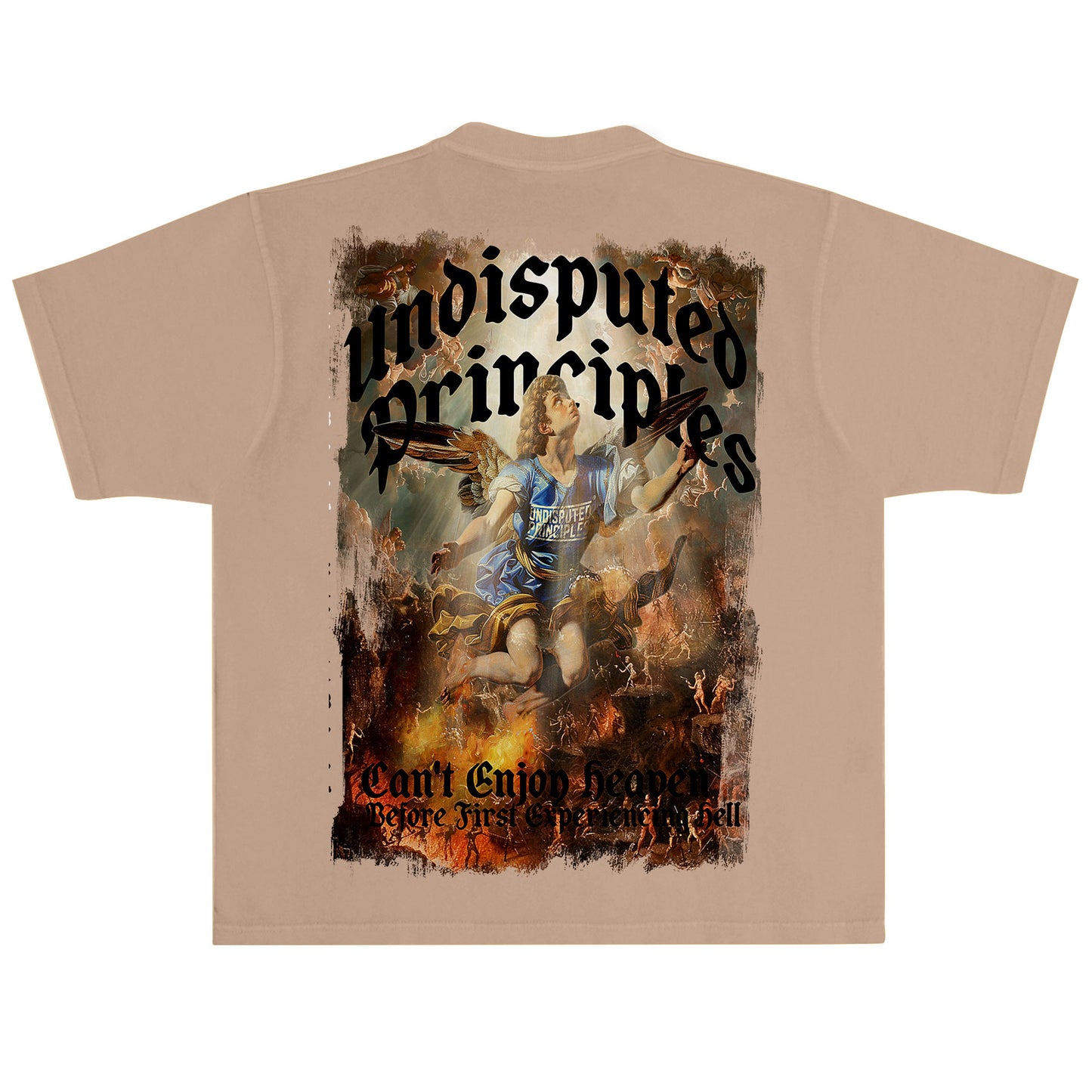 Experience-hell-short-sleeve-heavyweight-oversized-graphic-t-shirt-brown-back