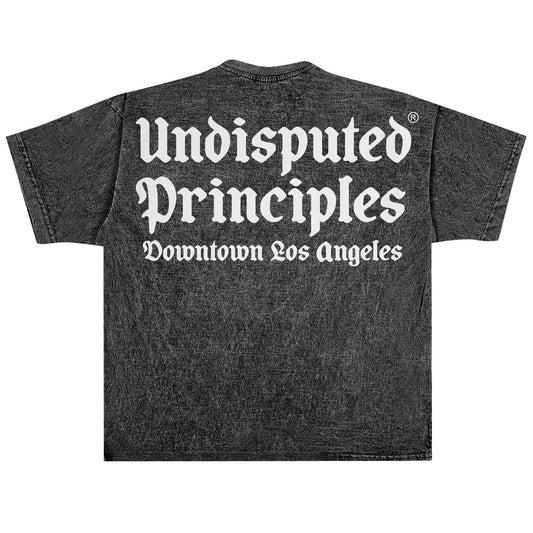 undisputed principes logo tee in oversize vintage acid wash short sleeve t-shirt