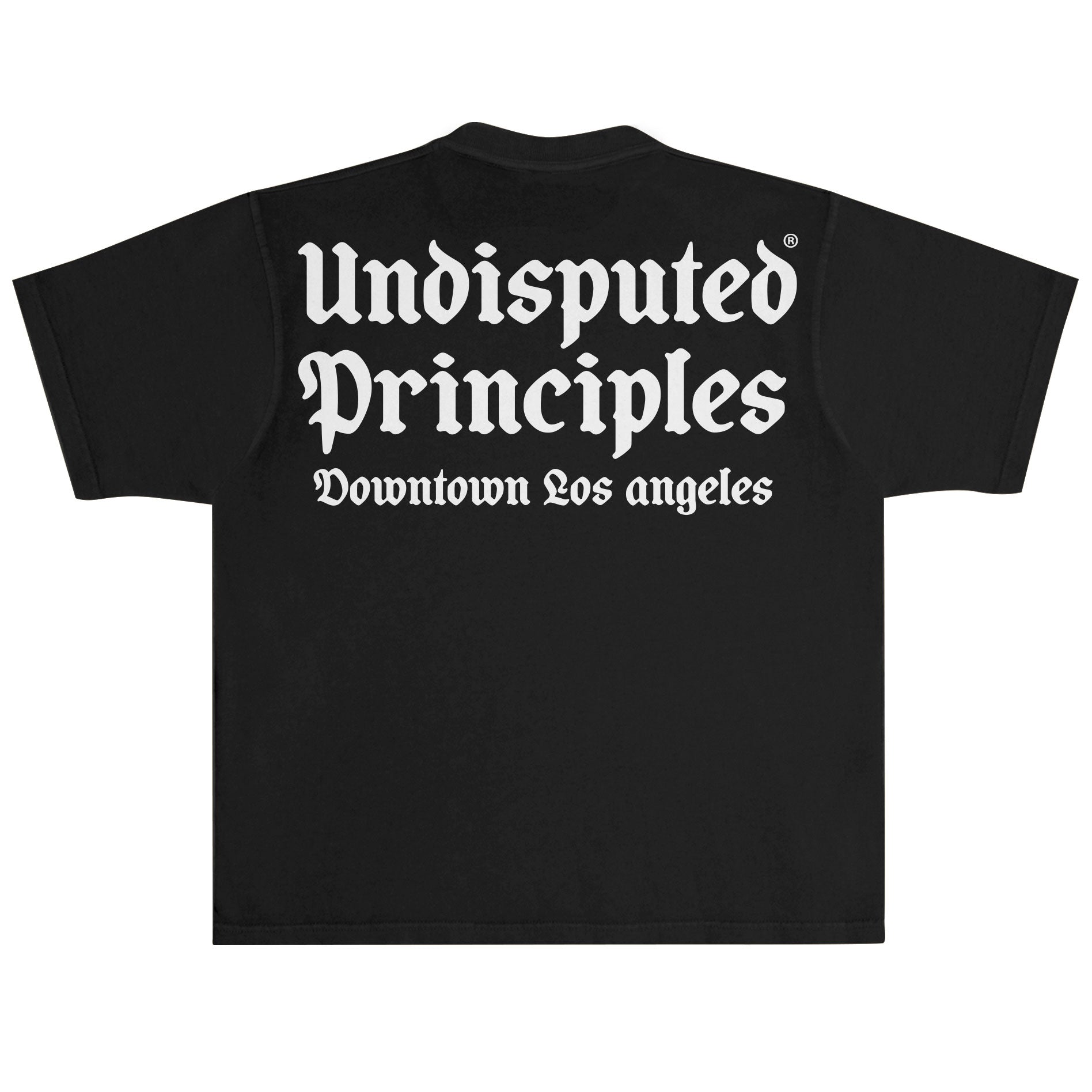 undisputed principles logo oversized heavyweight t-shirt in black
