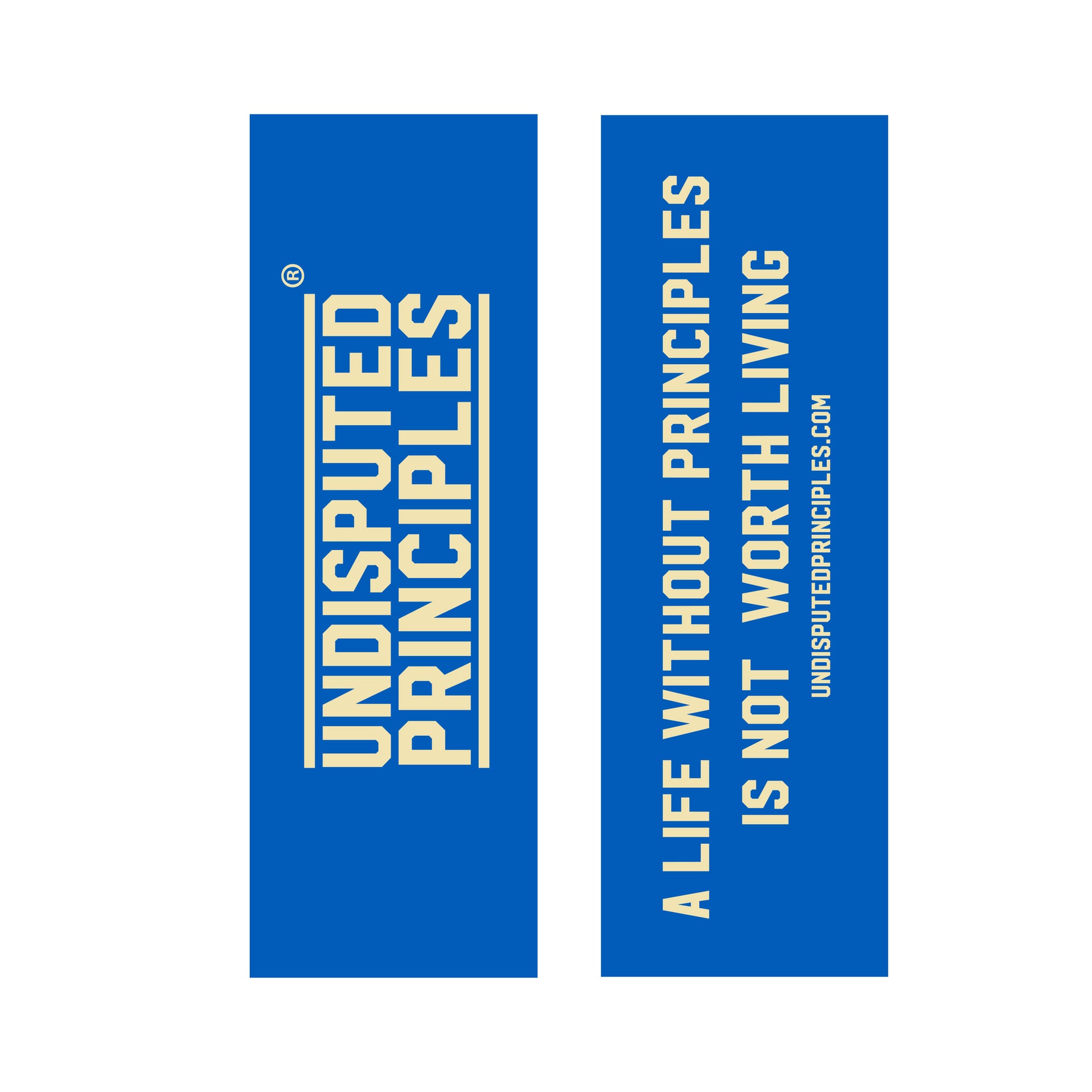 undisputed principles book mark