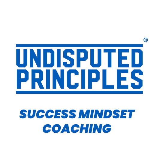 success mindset coaching undisputed principles