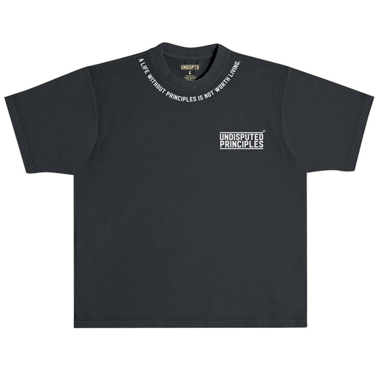 undisputed principles short sleeve oversized t-shirt in black