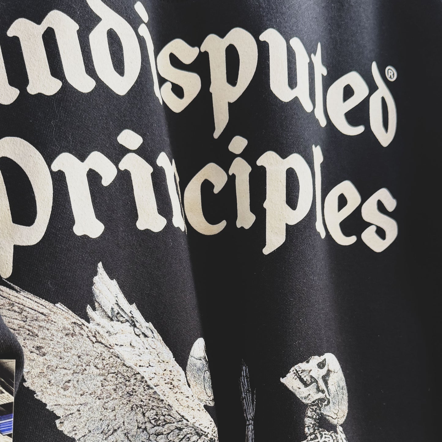 Visit the Undisputed Principles Shop - 30 Minutes